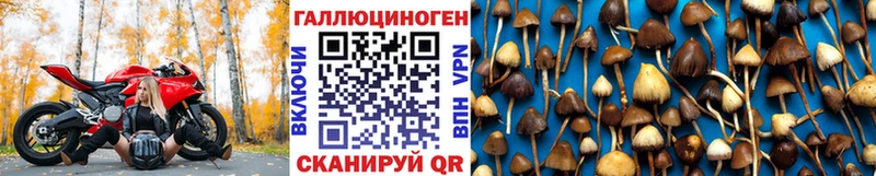 где купить наркоту  Йошкар-Ола  Псилоцибиновые грибы MAGIC MUSHROOMS 